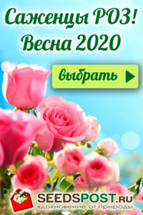 Чем обшить сарай снаружи дешево. Отделка стен сарая ОСП