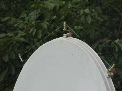 Как избавиться от голубей на балконе форум. Подручные элементы для отпугивания