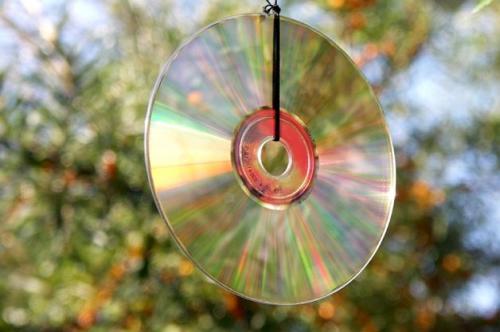 Как бороться с голубями во дворе. Метод отпугивания