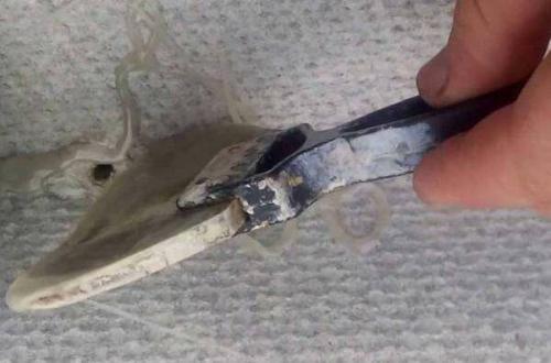 Ремонт шиферной крыши. Чем заделать трещины в шиферной кровле?