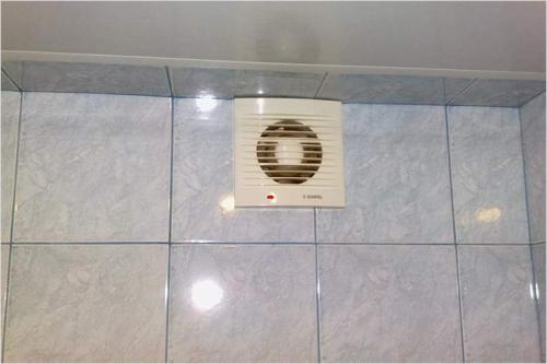 Декоративная покраска стен в ванной. Как профессионально покрасить стены в ванной