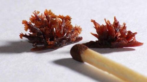 Прочистить канализацию сода уксус. Как пищевая сода и столовый уксус действуют на засоры. Способы ликвидации засора в трубах