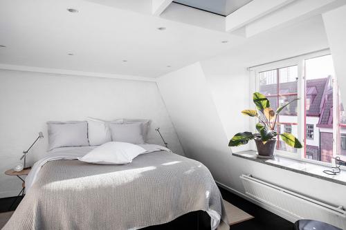 Небольшая квартира с выходом на крышу (59 кв. м) 12