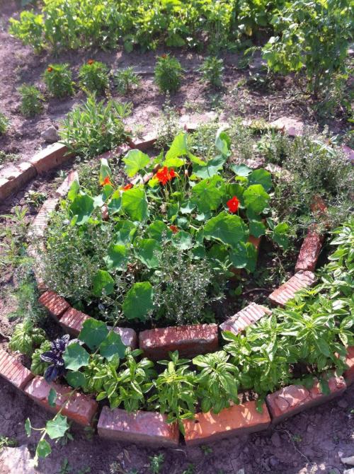 Клумбы из кирпича своими руками на даче. Клумбы из кирпича —, как красиво сложить своими руками? 115 фото и советы дизайнеров