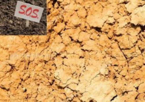 Как отвести воду со своего участка. Выбор метода 05 Как отвести воду со своего участка. Выбор метода 05