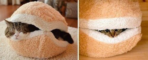 Mебeль для кoта 09