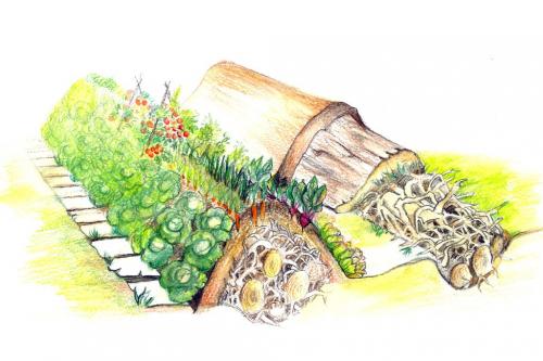 Умные грядки. «Умные» грядки