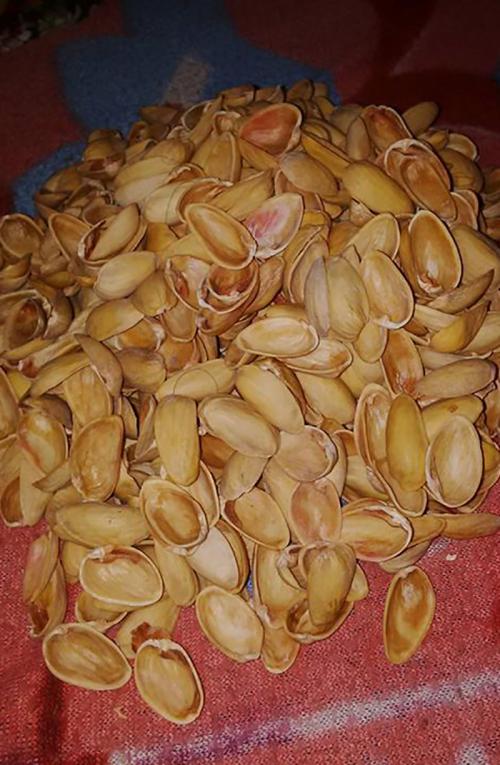 Поделки из скорлупы фисташек. Декор для дома своими руками 04