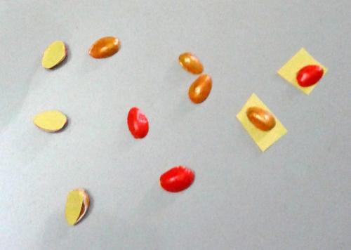 Поделки из скорлупы фисташек. Декор для дома своими руками 08