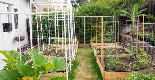 Как сделать грядки без досок. Как сделать высокие грядки своими руками.