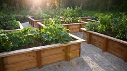 Как сделать грядку. Высокая грядка своими руками: как сделать 10
