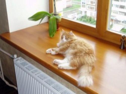 Размеры подоконника пластикового. Что собой представляет пластиковый подоконник 08 Размеры подоконника пластикового. Что собой представляет пластиковый подоконник 08