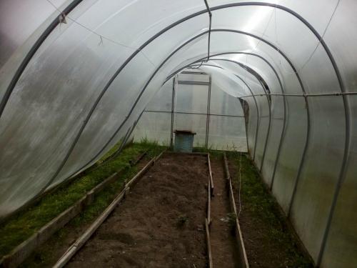 Какая теплица лучше. Какую теплицу лучше не покупать.