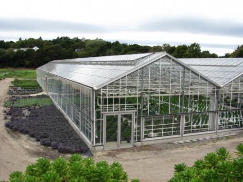 Размеры промышленных теплиц. Отличия промышленных теплиц