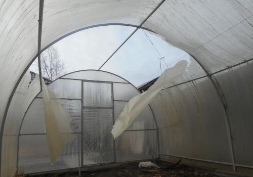 Какая теплица лучше. Какую теплицу лучше не покупать.