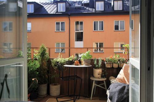 Небольшая квартира с зеленой гостиной (39 кв. м) 06