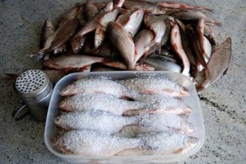 Как засолить рыбу для сушки. Рецепты посола
