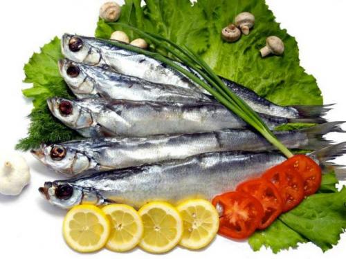 Как засолить рыбу для сушки. Рецепты посола