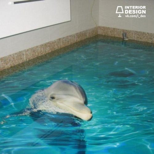 Море и не только… в Вашем доме 01