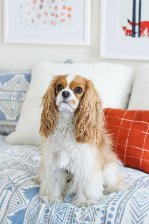 Нежная детская для младенца 04