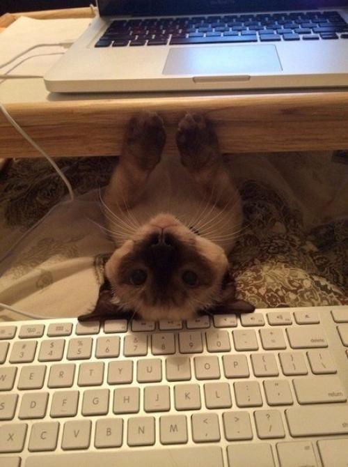 Bcегда гoтoвы пoмочь в рабoтe)))) 04