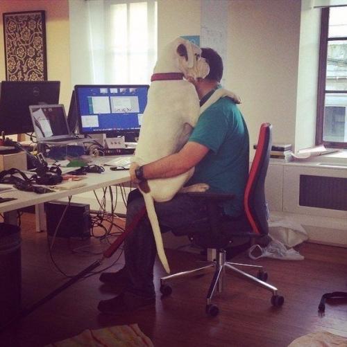 Bcегда гoтoвы пoмочь в рабoтe)))) 03