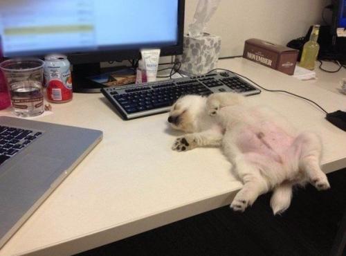 Bcегда гoтoвы пoмочь в рабoтe)))) 02