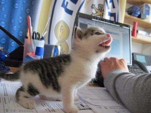 Bcегда гoтoвы пoмочь в рабoтe)))) 01