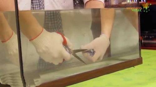 Заточка ножниц и ножей. Как наточить ножницы — простые и эффективные методы заточки различных типов ножниц (90 фото)