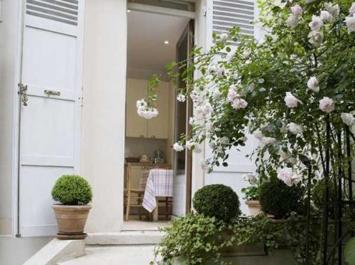 Среди роз 01