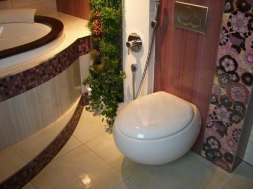 Туалет и душ в комнате. Нюансы дизайна 13