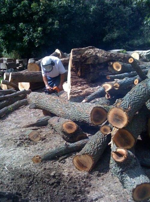 Как сделать стол из пня. Мебель из пней (12 фотографий). Ход работы по созданию мебели из пня 13 Как сделать стол из пня. Мебель из пней (12 фотографий). Ход работы по созданию мебели из пня 13