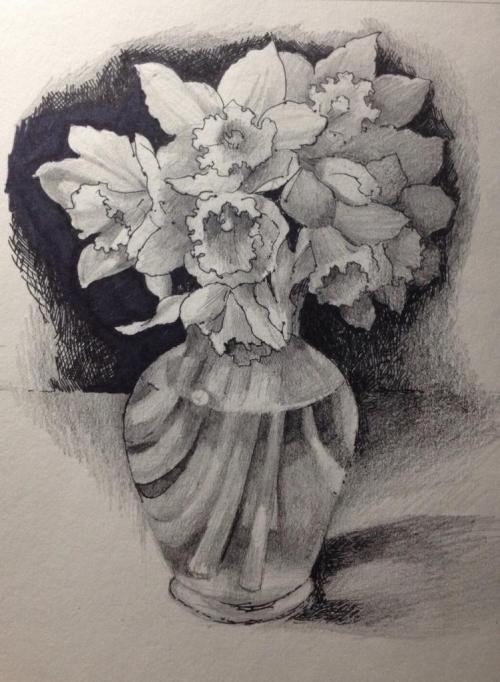 Красивые цветы для дома в горшках. Самые красивые цветущие комнатные цветы фото и названия 11