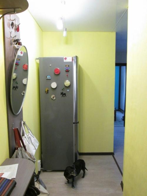 Как спрятать на кухне холодильник. Преимущества и недостатки встраиваемого холодильника 06 Как спрятать на кухне холодильник. Преимущества и недостатки встраиваемого холодильника 06