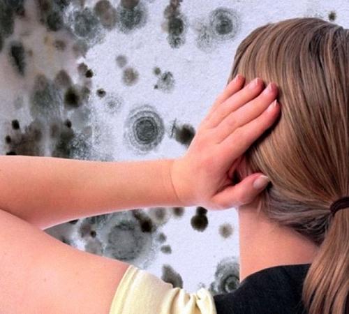 Как убрать жирные пятна со стены окрашенной водоэмульсионкой. Чем очистить сажу со стен: поэтапная работа