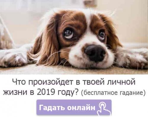 Любовные цветы. Покровители незамужних девушек