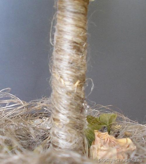 Топиарий на день рождения своими руками. Топиарий своими руками — дело техники 23