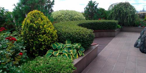 Оксана хлебородова ландшафтный дизайнер. Оксана Хлебородова: «Чаще всего люди побаиваются декорировать крышу» 02