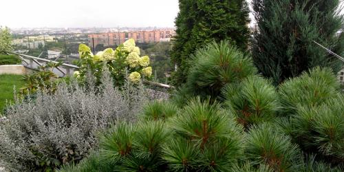 Оксана хлебородова ландшафтный дизайнер. Оксана Хлебородова: «Чаще всего люди побаиваются декорировать крышу» 04