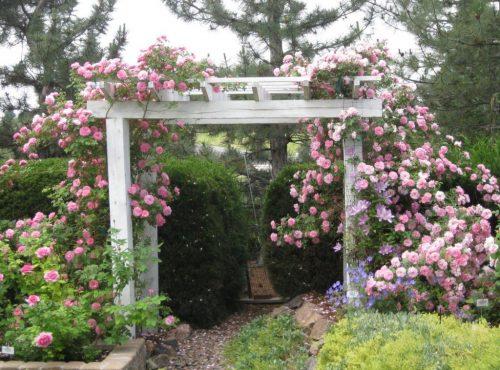 Оксана хлебородова розарий. Делаем розарий