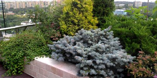 Оксана хлебородова ландшафтный дизайнер. Оксана Хлебородова: «Чаще всего люди побаиваются декорировать крышу» 03