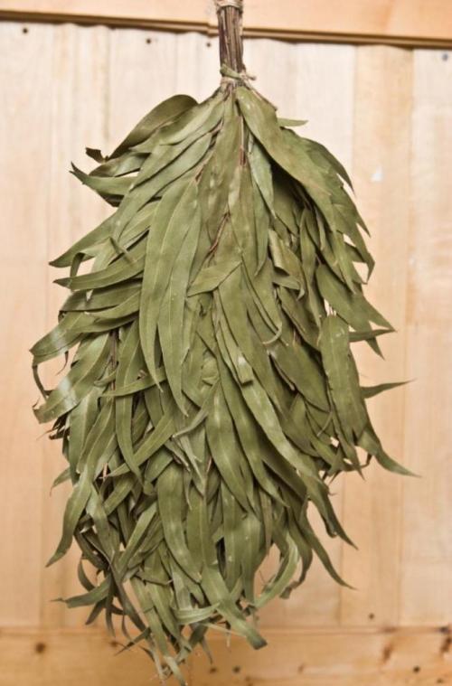 Какие дрова лучше для бани. Дрова для бани из лиственных деревьев 09 Какие дрова лучше для бани. Дрова для бани из лиственных деревьев 09