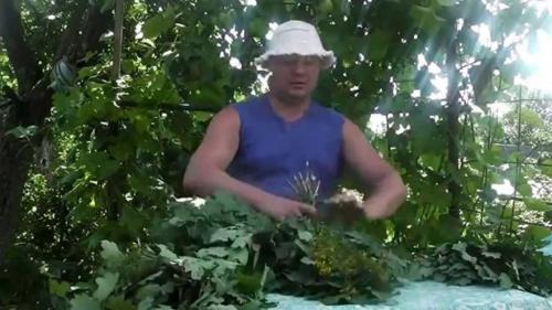 Какие дрова лучше для бани. Дрова для бани из лиственных деревьев 01 Какие дрова лучше для бани. Дрова для бани из лиственных деревьев 01