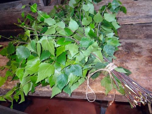 Какие дрова лучше для бани. Дрова для бани из лиственных деревьев 02 Какие дрова лучше для бани. Дрова для бани из лиственных деревьев 02