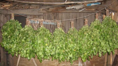 Какие дрова лучше для бани. Дрова для бани из лиственных деревьев 06 Какие дрова лучше для бани. Дрова для бани из лиственных деревьев 06