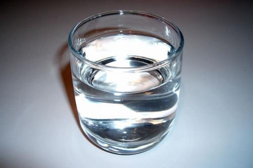 Как выходить фикус Бенджамина. Особенности ухода