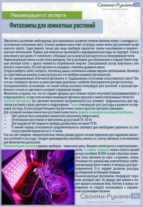 Фикус Бенджамина в интерьере. Фикус Бенджамина – идеальное растение для любого интерьера 06
