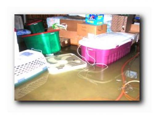 Обработка подвала после затопления. Как очистить подвал после затопления