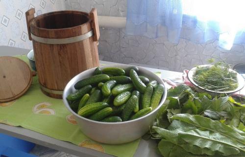 Температура хранения солений. Бочонок, бочка, кадка
