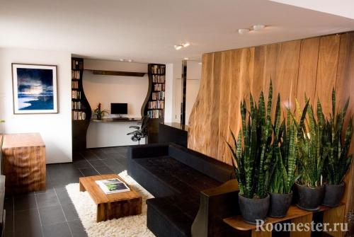 Какие цветы поставить в зале. Куда поставить цветы в квартире: советы